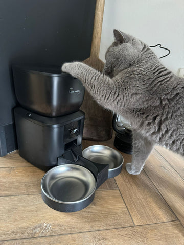 Hoeveel moet mijn kat eten?
