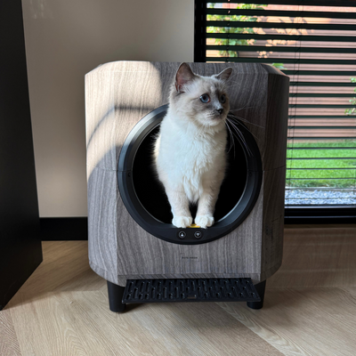 Slimme zelfreinigende kattenbak - Houtlook
