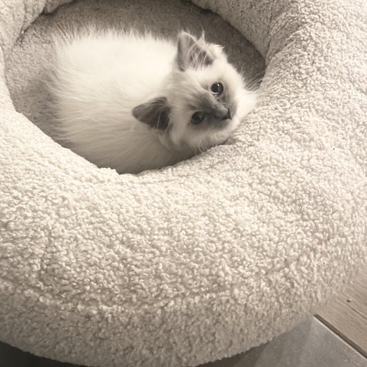 Kattenbed Teddy - Milky