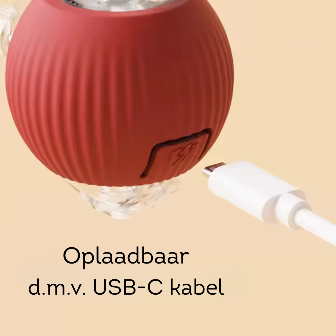Cadeau 3: Interactief, oplaadbaar speelgoed